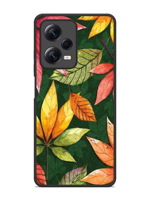 Autumn'S Embrace Glossy Soft Edge Case for Xiaomi Redmi Note 12 Pro (5G) Chachhi