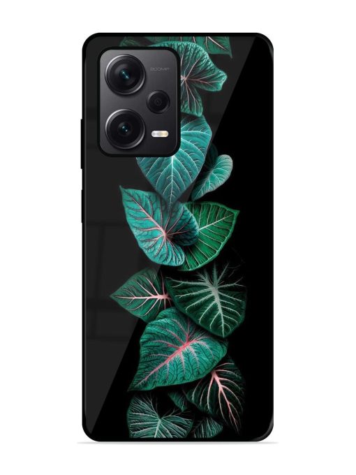 Emerald Elegance Glossy Soft Edge Case for Xiaomi Redmi Note 12 Pro Plus (5G) Chachhi