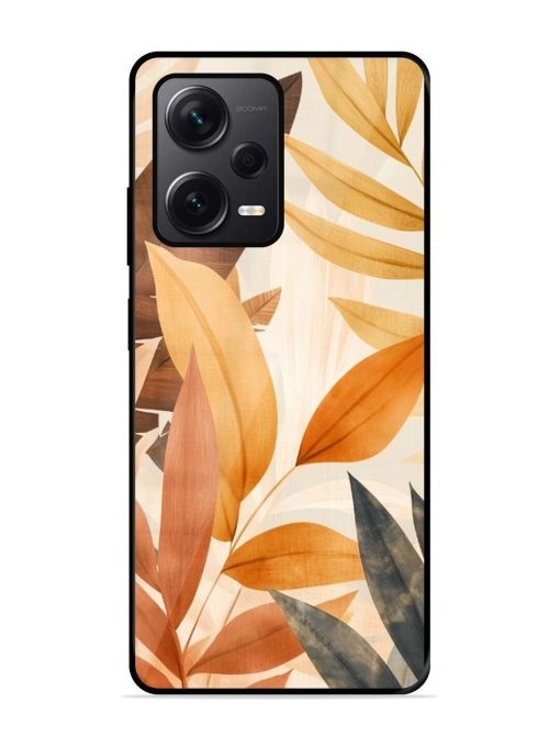 Earthy Elegance Glossy Soft Edge Case for Xiaomi Redmi Note 12 Pro Plus (5G) Chachhi