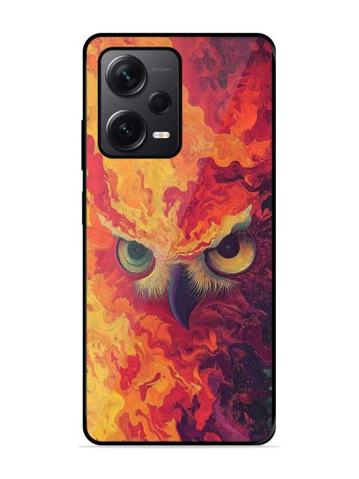 Fiery Owl Glossy Soft Edge Case for Xiaomi Redmi Note 12 Pro Plus (5G) Chachhi