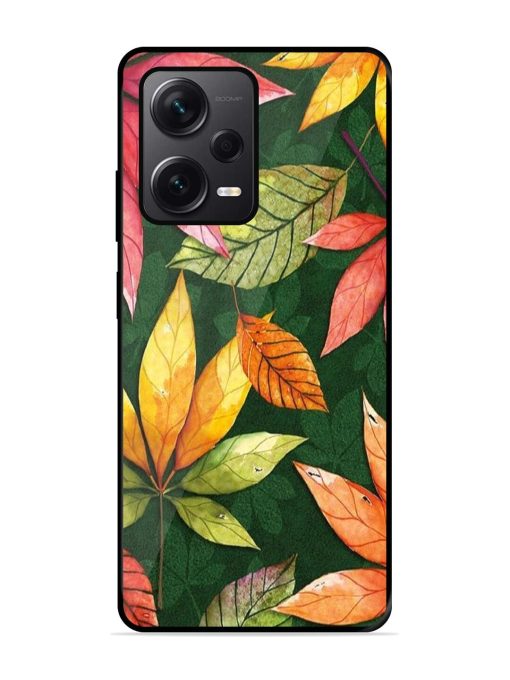 Autumn'S Embrace Glossy Soft Edge Case for Xiaomi Redmi Note 12 Pro Plus (5G) Chachhi