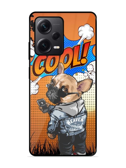 Cool Pup Glossy Soft Edge Case for Xiaomi Redmi Note 12 Pro Plus (5G) Chachhi