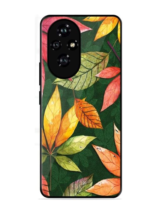Autumn'S Embrace Glossy Soft Edge Case for Honor 200 (5G)