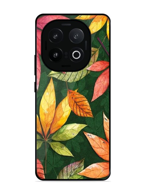 Autumn'S Embrace Glossy Soft Edge Case for Iqoo 13 (5G)