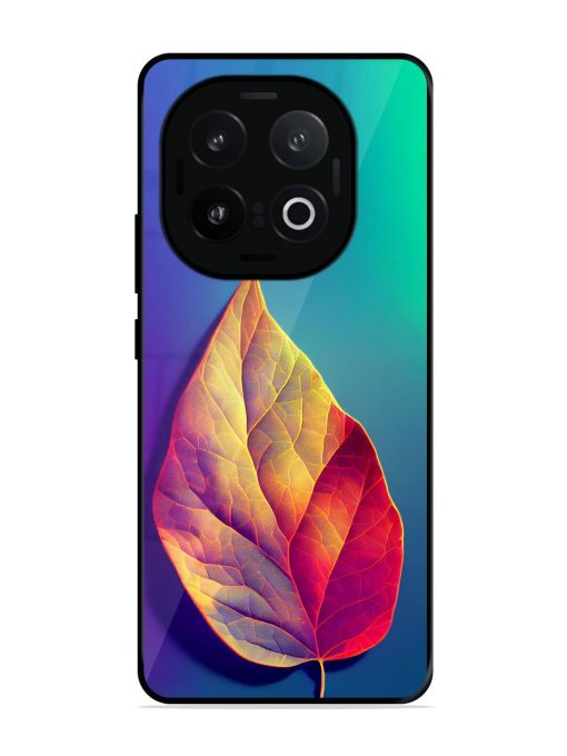 Autumn'S Embrace Glossy Soft Edge Case for Iqoo 13 (5G)