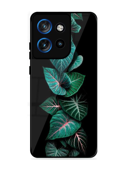 Emerald Elegance Glossy Soft Edge Case for Motorola Moto Edge 50 Neo (5G)