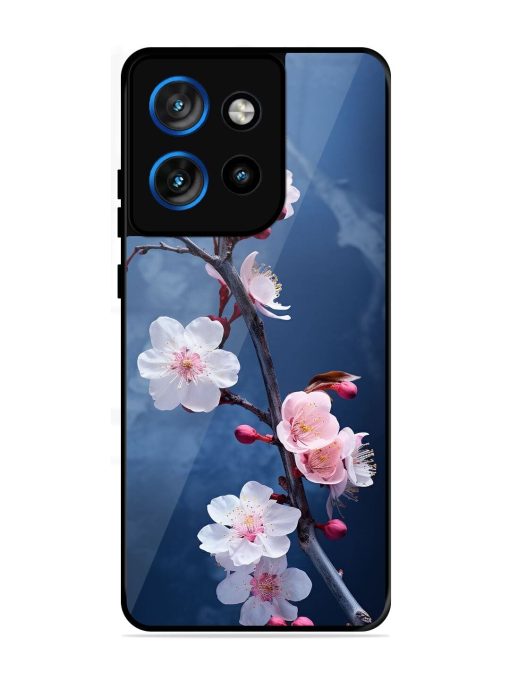 Delicate Blossoms Glossy Soft Edge Case for Motorola Moto Edge 50 Neo (5G)