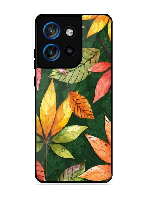 Autumn'S Embrace Glossy Soft Edge Case for Motorola Moto Edge 50 Neo (5G)