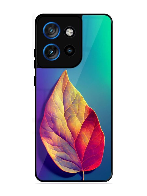 Autumn'S Embrace Glossy Soft Edge Case for Motorola Moto Edge 50 Neo (5G)