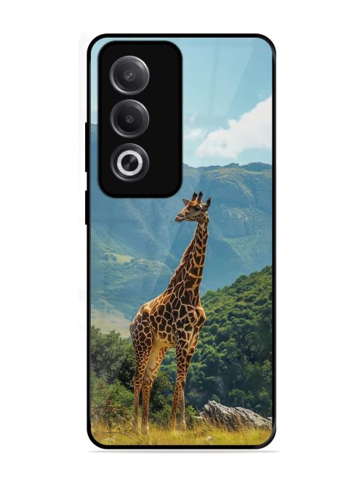 Gentle Giant Glossy Soft Edge Case for Oppo K12X (5G)