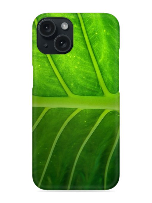 Natural Leaf Snap Case