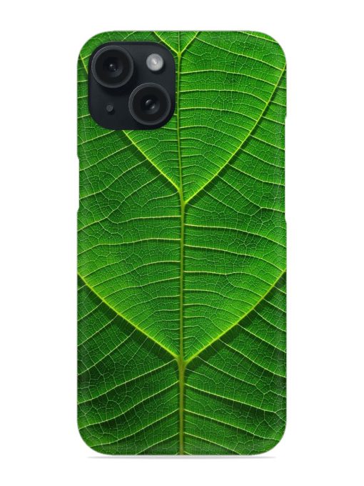 Green Leaf Art Snap Case
