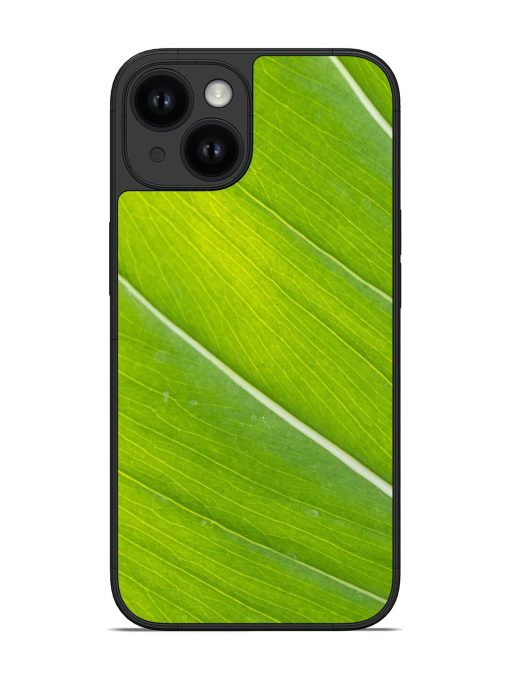 Verdant Glossy Soft Edge Case