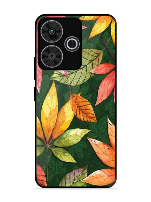 Autumn'S Embrace Glossy Soft Edge Case for Poco M6 Plus (5G)