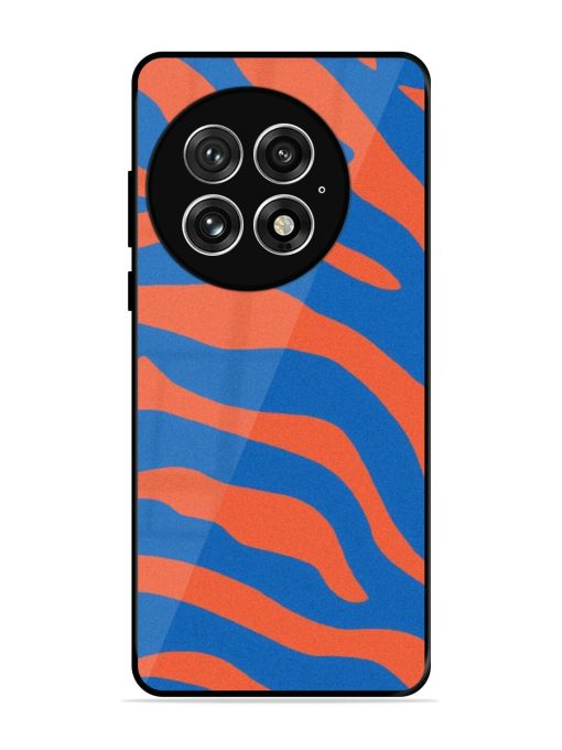 Zebra Stripes In Blue And Orange Glossy Soft Edge Case for Oneplus 13 (5G)