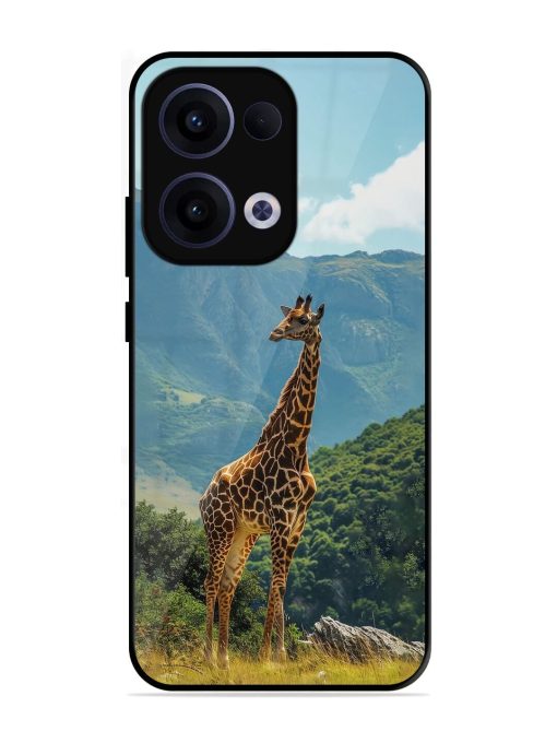 Gentle Giant Glossy Soft Edge Case for Oppo Reno 13 (5G)