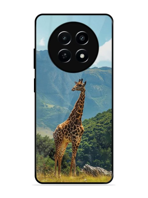 Gentle Giant Glossy Soft Edge Case for Realme Narzo N65 (5G)