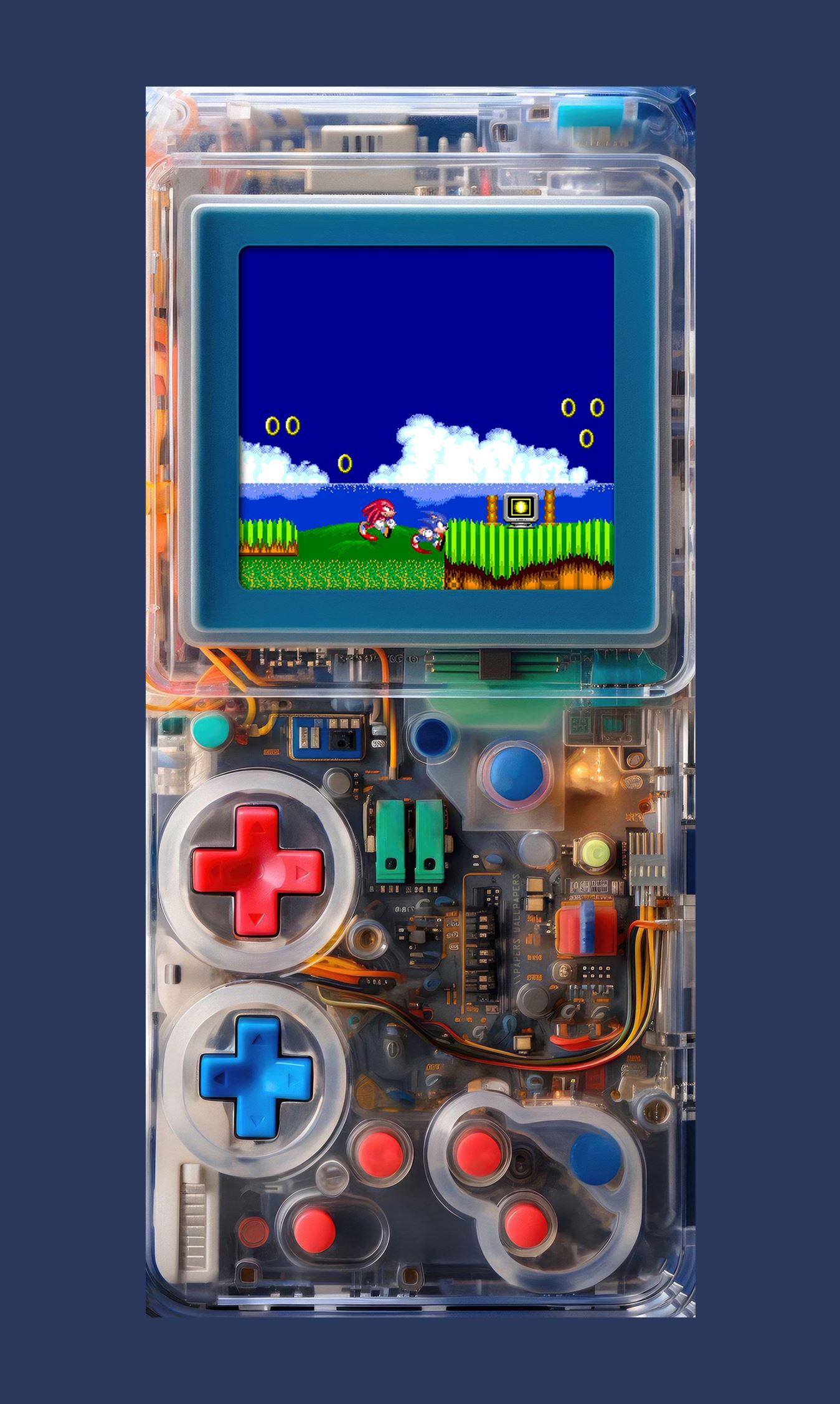 10065