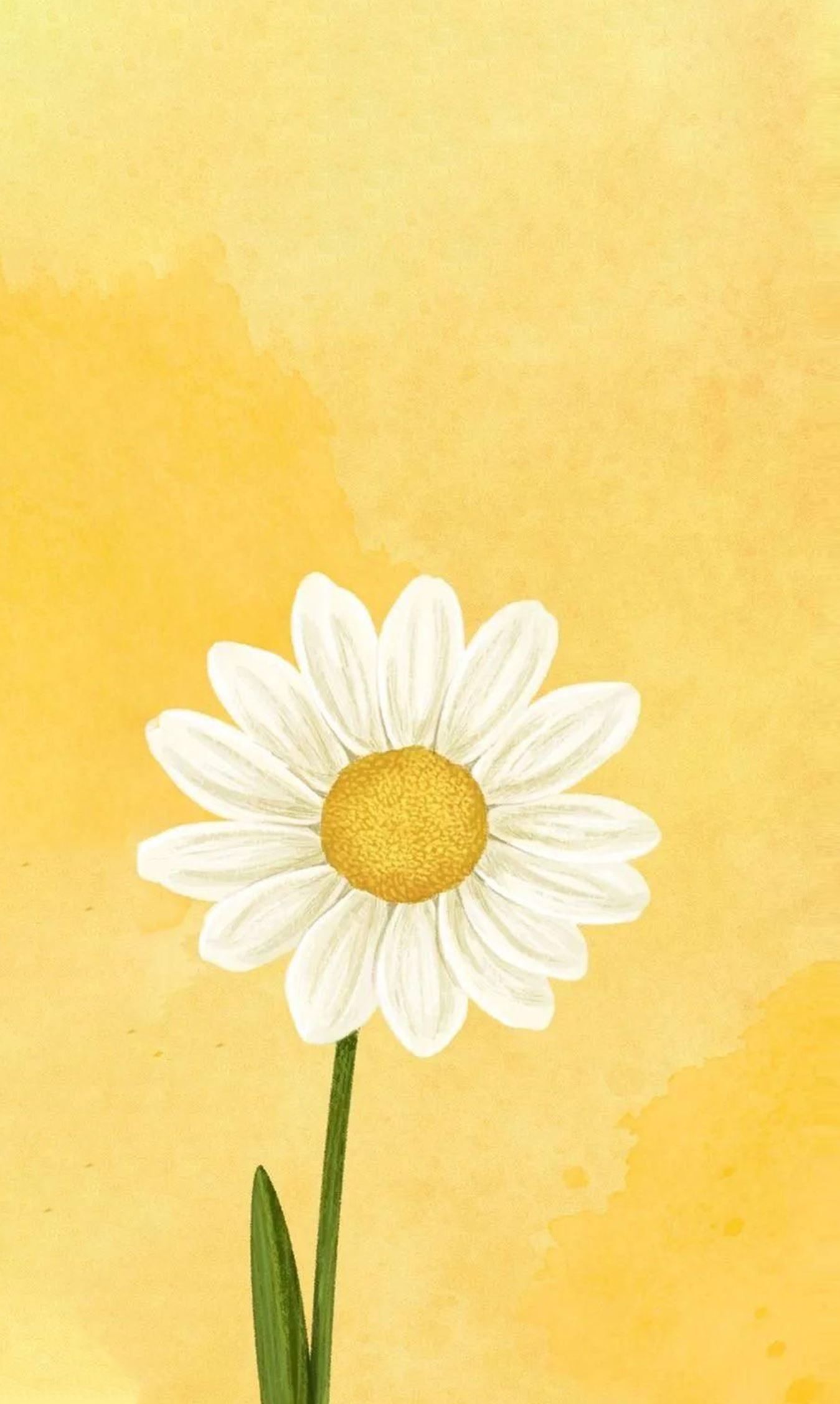 12043