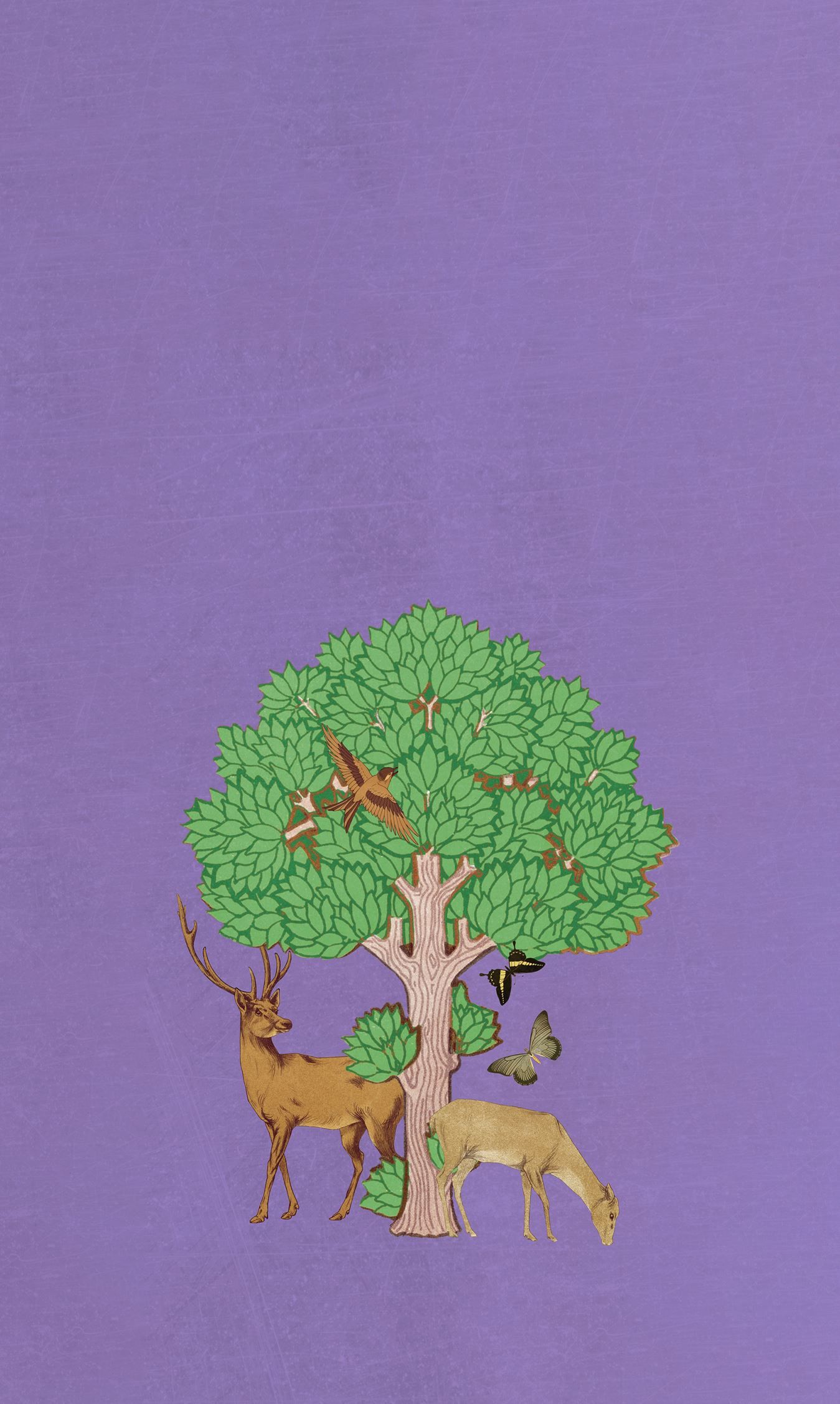 14032