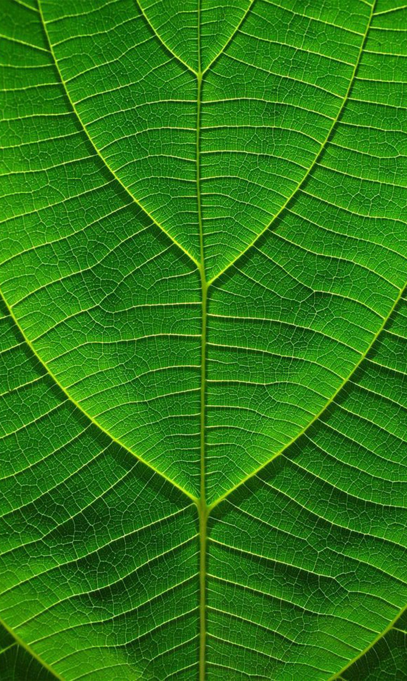 2627