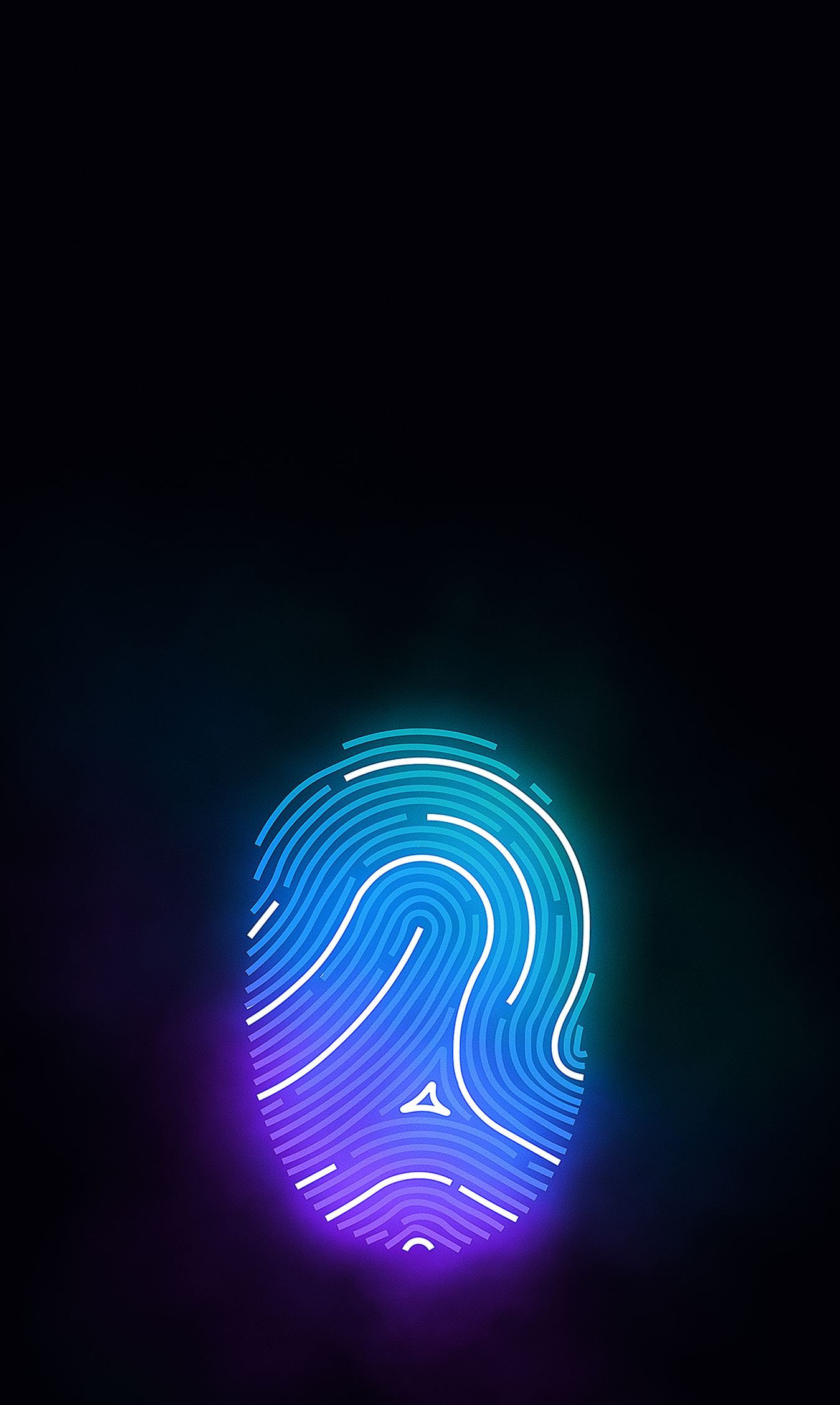 6232